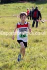 Boys under-13s, North East Harrier League, Cramlington. Photo: David T. Hewitson/Sports for All Pics